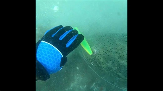 Would you try this? Hook Removal