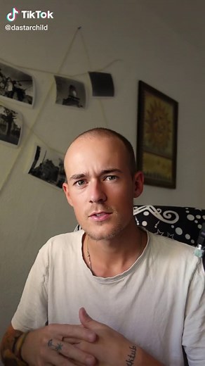 Petrified Tree Stumps: Mysteries of Mountains Revealed