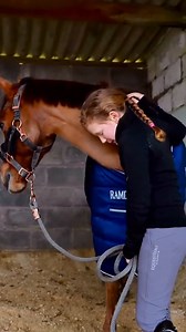 18K views · 134 reactions | "Horsey girls are the toughest women on...