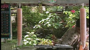 Teletubbies Everywhere Pack part 2/2