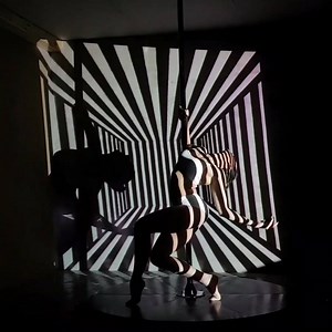 105K views · 1K reactions | No way! This is far beyond great!  FABULOUS video of Katja Dipman just made our day! Huuge!  | Dragonfly brand | Facebook