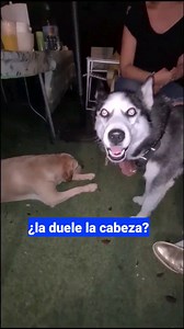 4.4M views · 109K reactions | Cuando a las mujeres les duele la...