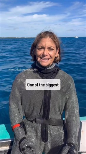 Myth: the powerful crashing jaw of a shark shatters bones, and my suit won’t prevent the damage.Reality: Shark teeth don’t need a powerful bite force. It’s the same as using a sharp or dull knife in the kitchen (we all cherish a nice sharp blade).Researchers studying great whites’ bite strength proved that this species’ ability is based on the incredibly sharp and abundant teeth rather than the strength of the jaw. The same applies to many different species.This stainless steel suit allows me to