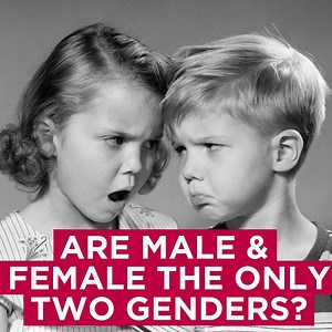 The Origin of Gender