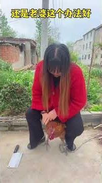 #喜爱度激励计划。搞笑日常