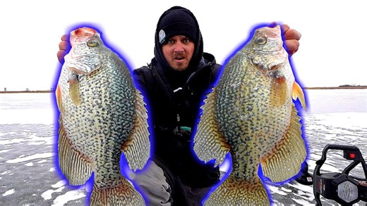 Record 15-inch crappie caught in ice fishing expedition