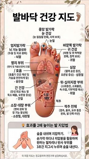 발바닥 지압효과 #발지압 #발바닥건강지도 #혈자리 #건강정보