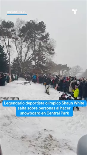 Telemundo PR on Instagram: "❄⛷ ¡Furor por la nieve y el frío en NY! La leyenda olímpica Shaun White practica snowboard en Central Park. 📲 Más imágenes en telemundopr.com"