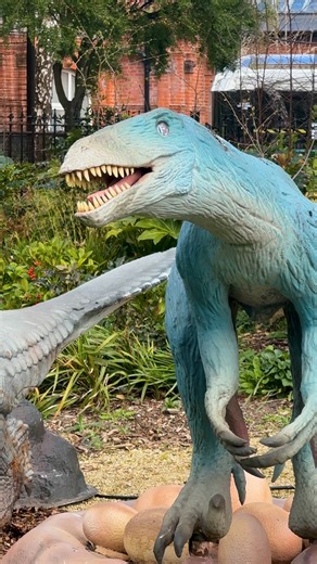 Zoorassic Trail is an unmissable ROAR-some experience 🦖 Here for a LIMITED TIME only, discover over 40 dinosaurs, including a Triceratops the size of an ice cream! This dino-riffic experience is included in our standard entry rates. That means you can discover over 400 amazing animals AND explore Zoorassic Trail, no extra ticket needed! | Dublin Zoo