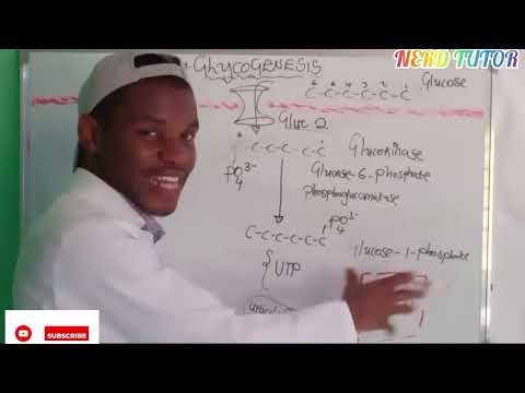 GLYCOGENESIS SIMPLIFIED