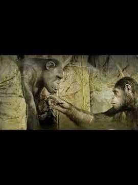 One baboon became smart....The changed the entire troop