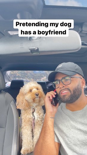 Luna The Mini Cockapoo on Instagram: "She felt embarrassed at the end…  #cockapoo #dogs #puppylove"