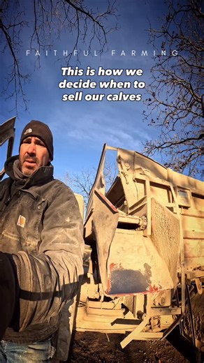 JAKE & BRITTNEY LONG | LONG FAMILY FARM on Instagram: "We run a cow-calf operation, and deciding when to sell calves is one of the most important management decisions we make on the farm. It’s not just about the calendar. We look at cattle quality, current cattle market conditions, futures, feed and grain prices, and overall cash flow before deciding when to market our calves. Every operation is different, but understanding these factors helps make more informed, sustainable decisions for both t