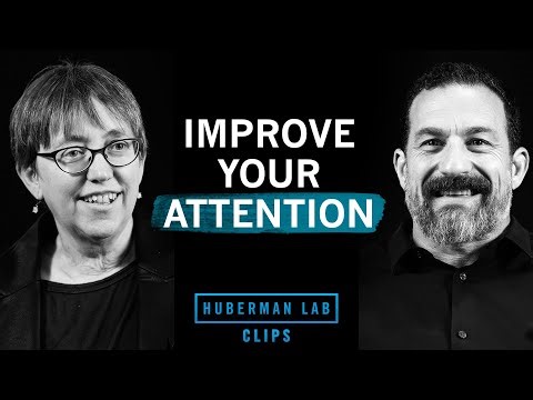 How to Improve Your Attention & Focus | Dr. Jennifer Groh & Dr. Andrew Huberman