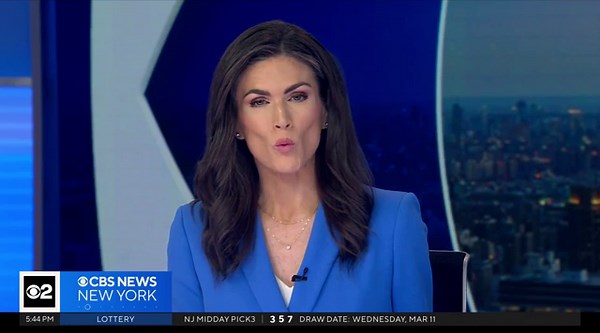 Video captures wolves howling at Beardsley Zoo in Connecticut