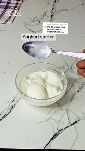 Homemade Yoghurt Starter with Two Ingredients | Easy Yoghurt Recipe