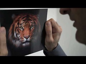 Software Lenticular 3D