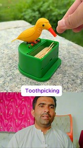 Robotic Bird That Picks Up Toothpicks! #roboticbirds #toothpicks #viralreels #smartwork #reelsvideo | Saraiki Mazaa