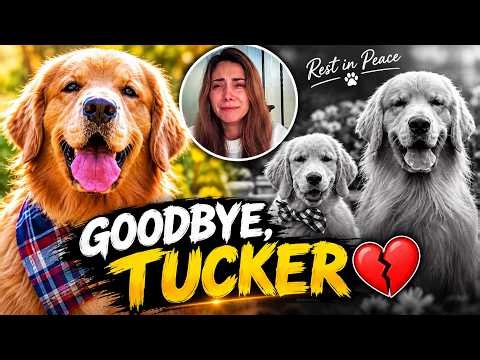 Tucker Budzyn Died at 8 💔 Owner Breaks Down in Tears | Cause of Death Revealed