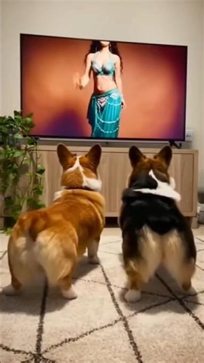 Dancing Machine Needs to Keep Dancing! ダンスマシンは踊り続けたい！