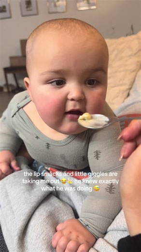 Baby's First Taste of Banana Pudding: Adorable Reactions!