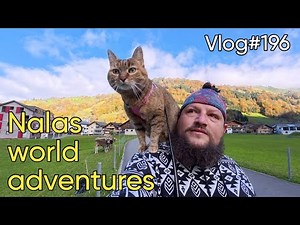 Vlog#196 - Cycling the Klausenpass with Nala cat 🐱❤️