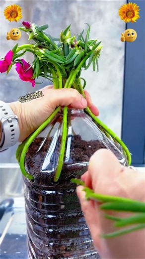 Turn a Plastic Bottle into a Flower Tree 🌸 #farming #gardening #satisfying #tips