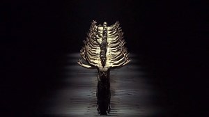 Still available until next week. Crystal Pite's extraordinary choreography is all about nature, perfect for Easter. https://www.arte.tv/en/videos/083017-003-A/the-seasons-canon-by-crystal-pite-at-the-paris-opera/ | Arte