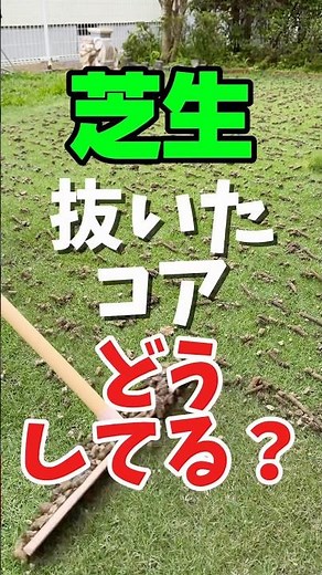 What do you do with lawn aeration plugs? Why the rainy season is the perfect time to reuse them f...