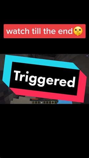 #minecraft #meme #triggered #wow #eh