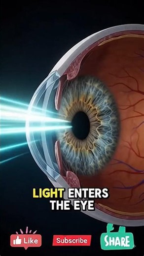How Do We See? 👁️ | Eye Anatomy & Vision Explained in 3D #shorts