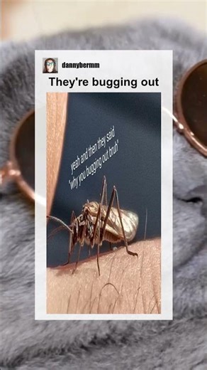 They're bugging out #memes #meme #memesdaily
