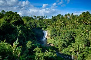 Bali Waterfalls Guide: Everything You Need to Know in 2025