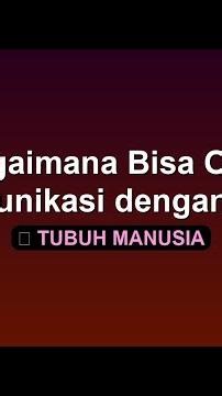 Bagaimana Bisa Otak Berkomunikasi dengan Usus?!