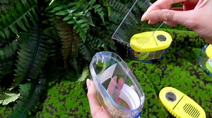 6 Pack Bug Catcher Kit for Kids Bulk Insect Collection Cage Bug Habitat Viewer Magnifying Glass Catching Box Container Explorer Outdoor Nature Gift for Kid Boys Girls(Yellow，Blue)