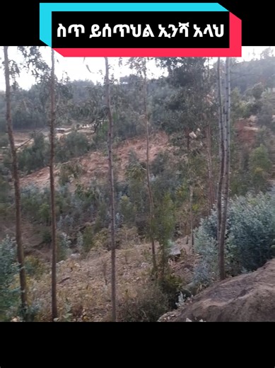 Alefa (@alefa.sino)’s videos with original sound - Alefa