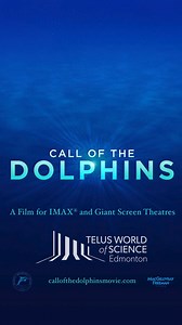 Explore the fascinating world of dolphins!🐬 Call Of The Dolphins unveils the incredible intelligence, social structures, and the vital role dolphins play in marine ecosystems. Discover how researchers use innovative tagging technology to track their movements, behaviours, and migration patterns, helping to protect their ocean home. #IMAX #yeg #yeglocal #dolphins #MarineScience | TELUS World of Science - Edmonton