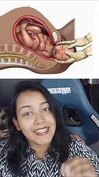 Female Reproductive System | Class 12 Biology| #shorts #neet #neetbiology