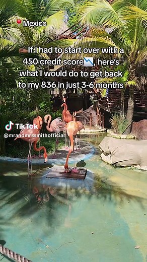 Guía para Restaurar Tu Crédito: Pasos Clave