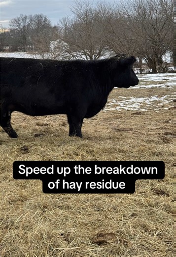 Boost Soil Health with Ag Formula 500X