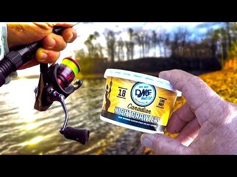 Just Cast Your Worm & Wait! Easy Relaxing Way To Catch Bluegill For Dinner!