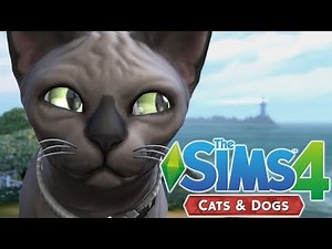 CAT BREEDING - The Sims 4 Cats and Dogs | Episode 29
