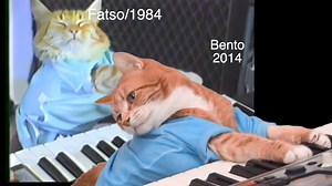 180K views · 4.9K reactions | Two miracles! | Keyboard Cat | Facebook