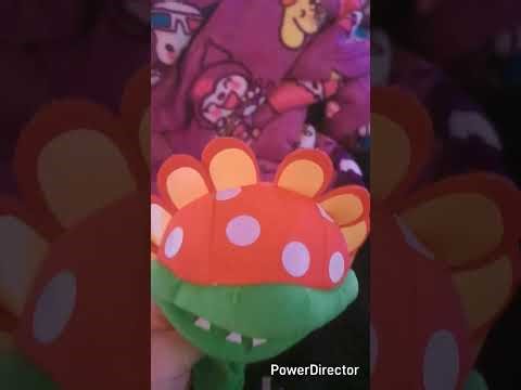 Petey Piranha's interview