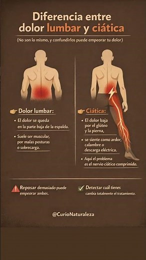 Dolor lumbar o ciática: no es lo mismo y esto lo cambia todo #DolorLumbar #Ciática #SaludDeLaEspalda