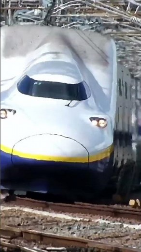 新幹線E4系 新潟駅 -2012