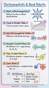 Electronegativity & Bond Polarity in 60 Seconds | Class 11 Chemistry Explained