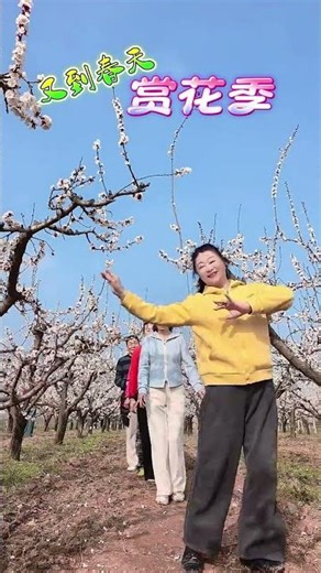 1950s Man's Springtime Dance Debut - Heartwarming Revival