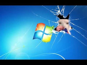 1 Hour Of A Gato Eating Chips Through The Windows 7 Wallpaper :)