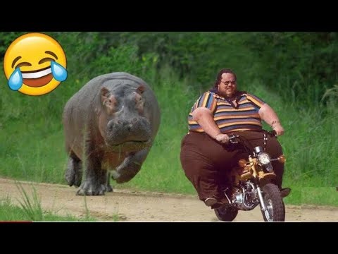 TRY NOT TO LAUGH 🤣 | Funniest Fails Ever Caught on Camera (IMPOSSIBLE!)